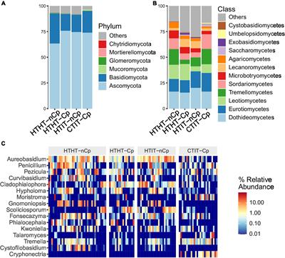 Bark-inhabiting fungal communities of European chestnut undergo substantial alteration by canker formation following chestnut blight infection